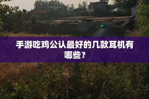 手游吃鸡公认最好的几款耳机有哪些？