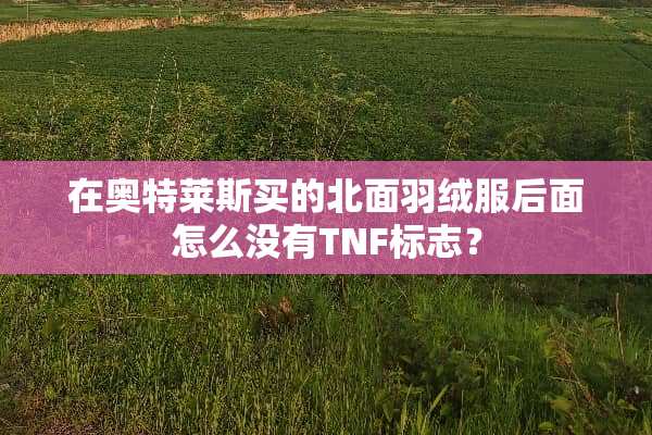 在奥特莱斯买的北面羽绒服后面怎么没有TNF标志？