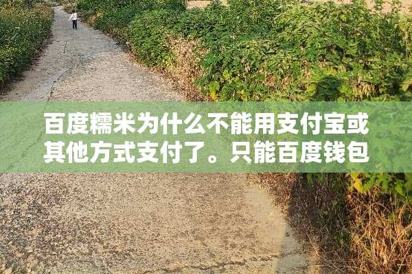 百度糯米为什么不能用支付宝或其他方式支付了。只能百度钱包