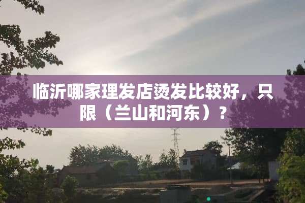 临沂哪家理发店烫发比较好，只限（兰山和河东）？