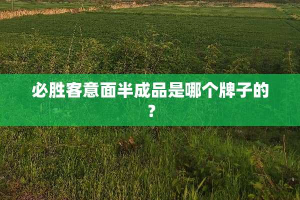 必胜客意面半成品是哪个牌子的？