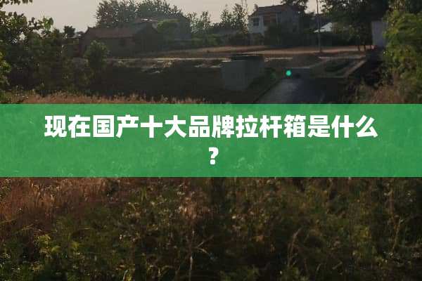 现在国产十大品牌拉杆箱是什么？