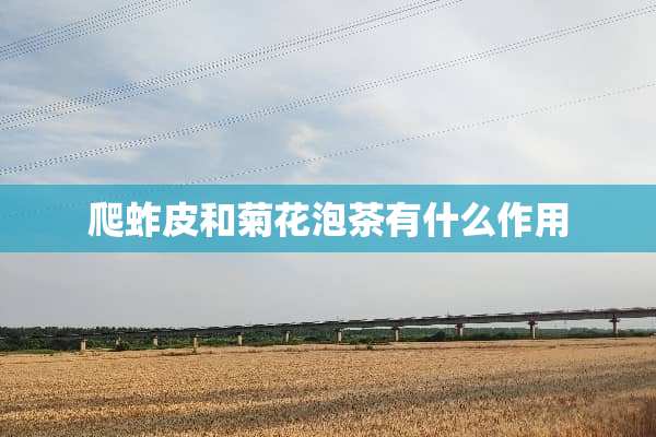 爬蚱皮和菊花泡茶有什么作用