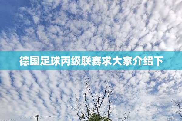 德国**丙级联赛求大家介绍下