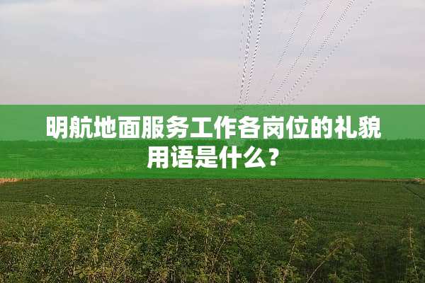 明航地面服务工作各岗位的礼貌用语是什么？