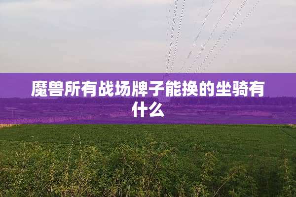 魔兽所有战场牌子能换的坐骑有什么