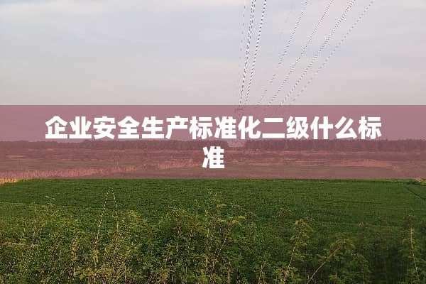 企业安全生产标准化二级什么标准