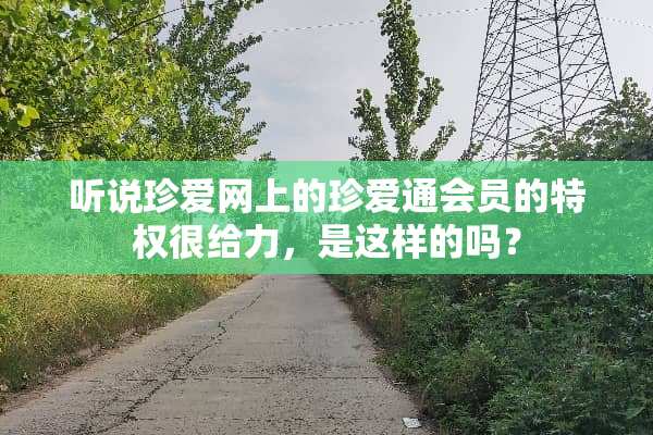 听说珍爱网上的珍爱通会员的特权很给力，是这样的吗？