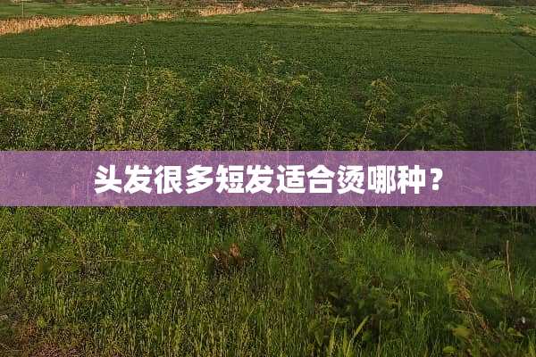 头发很多短发适合烫哪种？