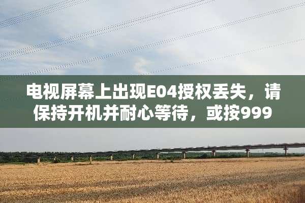 电视屏幕上出现E04授权丢失，请保持开机并耐心等待，或按999频道提示进？