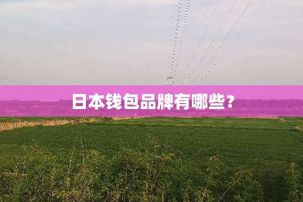 日本钱包品牌有哪些？