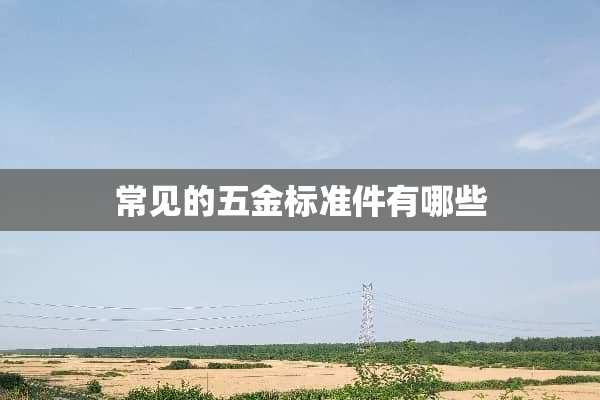 常见的五金标准件有哪些