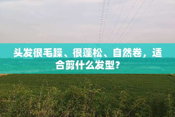 头发很毛躁、很蓬松、自然卷，适合剪什么发型？
