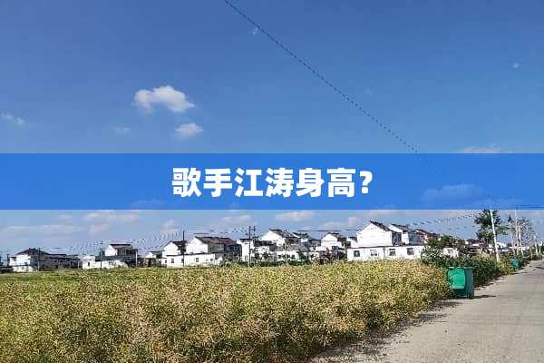 歌手江涛身高？