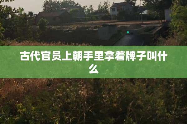 古代官员上朝手里拿着牌子叫什么