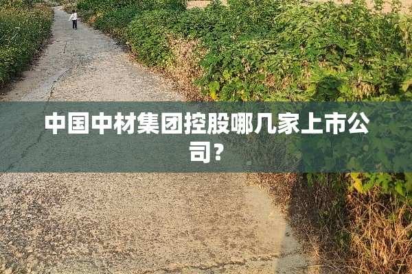 中国中材集团控股哪几家上市公司？