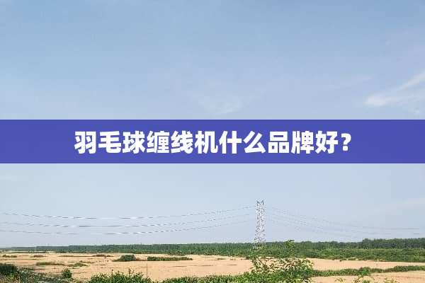 羽毛球缠线机什么品牌好？