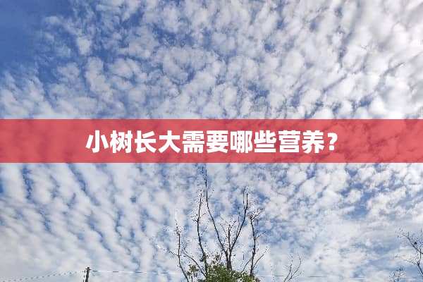 小树长大需要哪些营养？