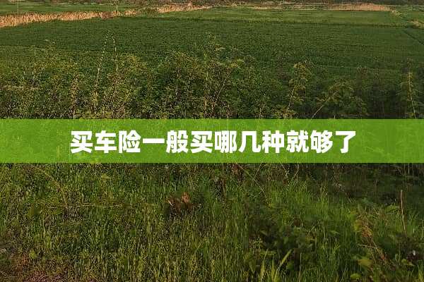 买车险一般买哪几种就够了