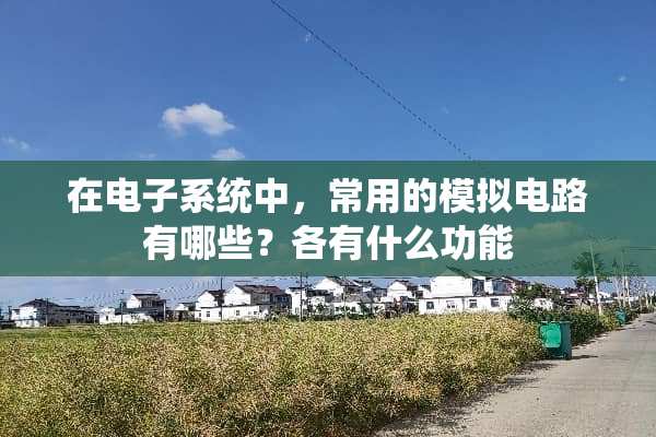 在电子系统中，常用的模拟电路有哪些？各有什么功能