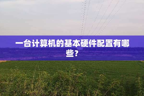一台计算机的基本硬件配置有哪些？