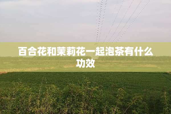 百合花和茉莉花一起泡茶有什么功效