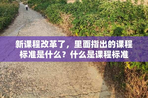 新课程改革了，里面指出的课程标准是什么？什么是课程标准