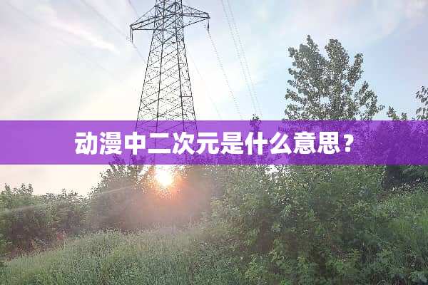 动漫中二次元是什么意思？