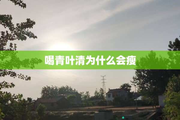 喝青叶清为什么会瘦