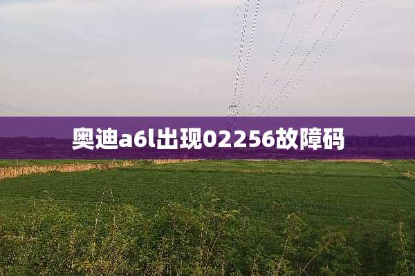 奥迪a6l出现02256故障码