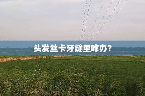 头发丝卡牙缝里咋办？
