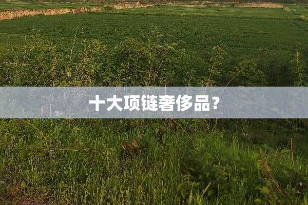 十大项链奢侈品？