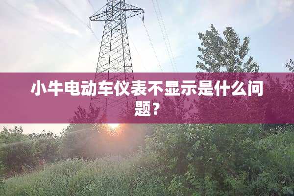 小牛电动车仪表不显示是什么问题？