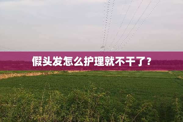 假头发怎么护理就不干了？