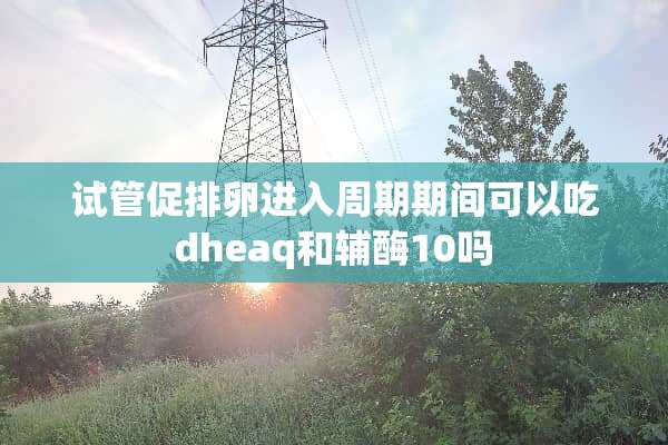 试管促排卵进入周期期间可以吃dheaq和辅酶10吗