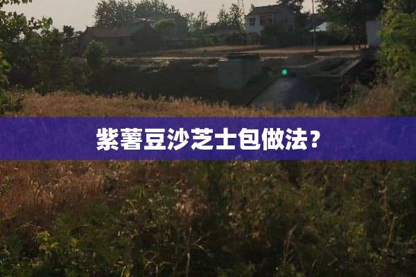 紫薯豆沙芝士包做法？