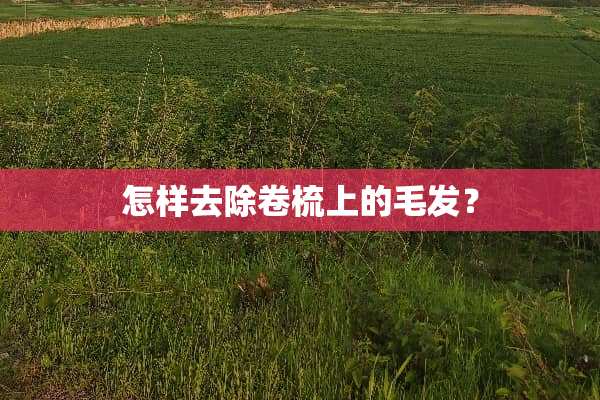 怎样去除卷梳上的毛发？