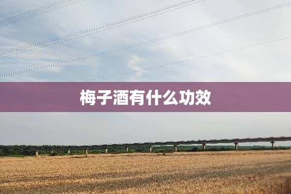 梅子酒有什么功效