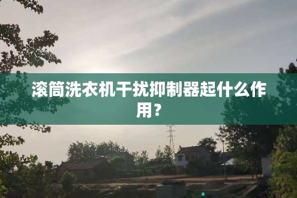 滚筒洗衣机干扰抑制器起什么作用？