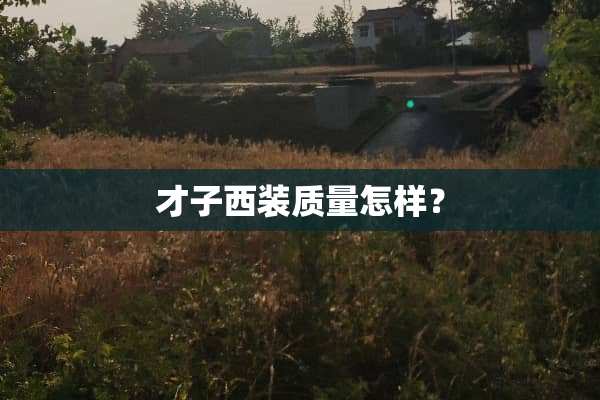 才子西装质量怎样？