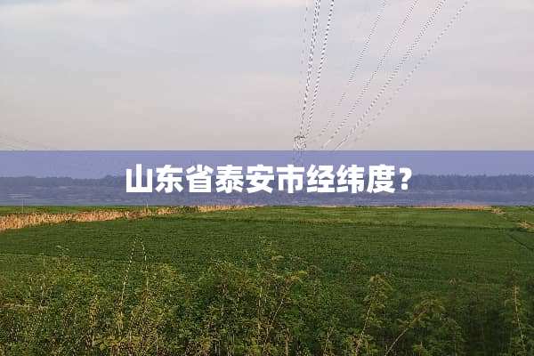 山东省**市经纬度？