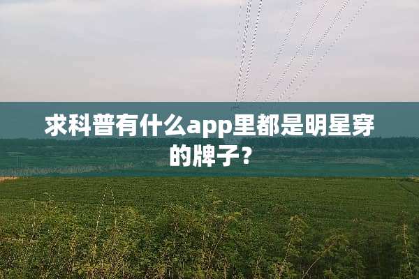 求科普有什么app里都是明星穿的牌子？