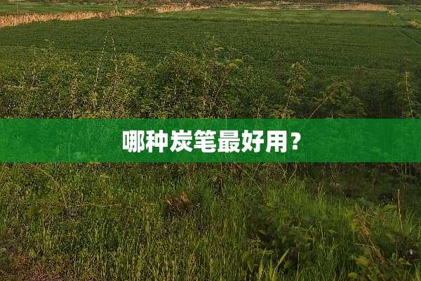 哪种炭笔最好用？