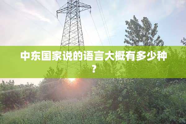中东国家说的语言大概有多少种？