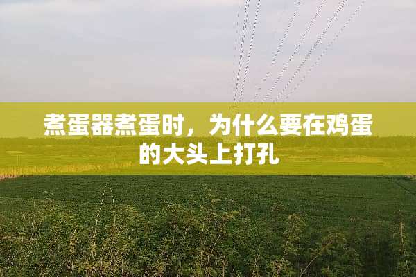 煮蛋器煮蛋时，为什么要在鸡蛋的大头上打孔