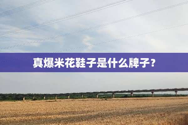 真爆米花鞋子是什么牌子？