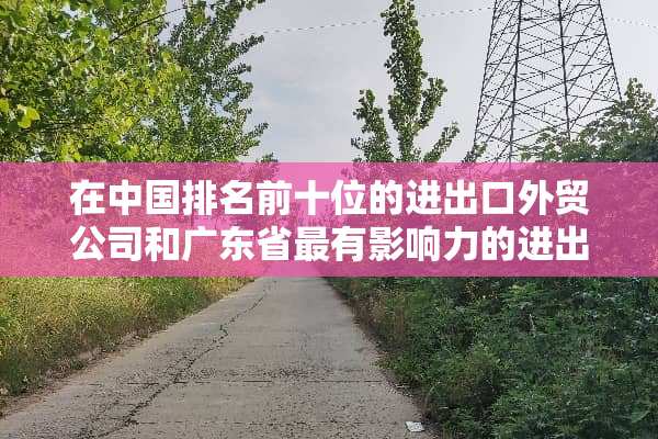 在中国排名前十位的进出口外贸公司和广东省最有影响力的进出口外贸公司。急……
