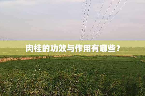 肉桂的功效与作用有哪些？