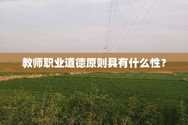 教师职业道德原则具有什么性？