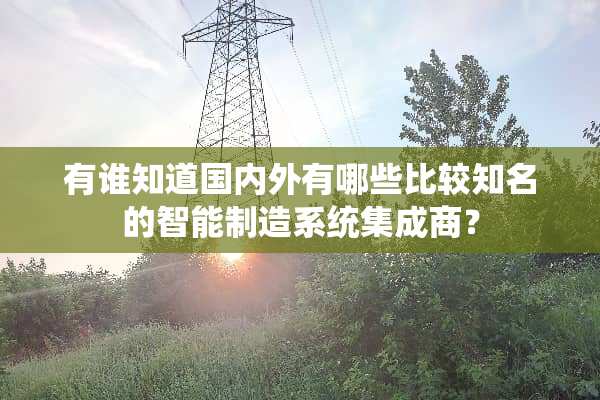 有谁知道国内外有哪些比较知名的智能制造系统集成商？